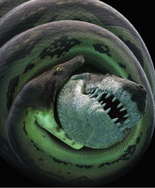 ���ױ��Ǳ���ú���Ҳ����һ��ǰ��δ����ʷǰ������ʯ��Anthracosuchus balrogus��