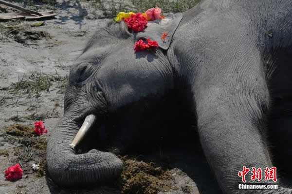 ӡ�ȴ���װ�������ƻ�ׯ�� ��������