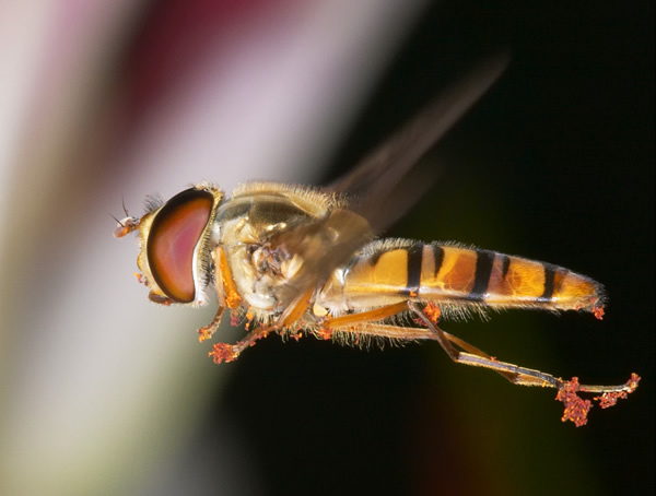 �о������۷�ͨ������������Ϥ�ĵ��ε�����ͼ���е���