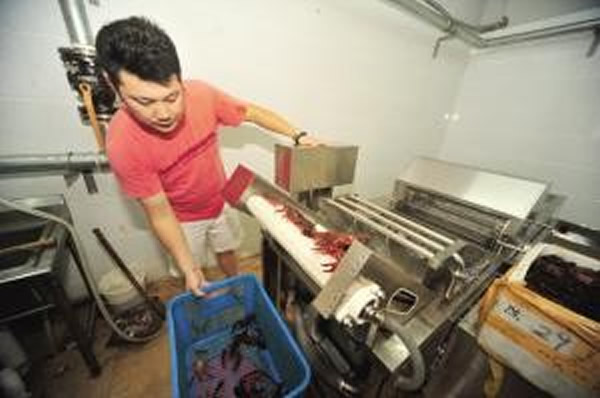 南京男子发明洗虾机 15分钟洗250公斤龙虾 - 神