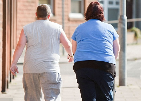 ר�ҽ��ͣ��ٲ���-36��ָʾ֬��ϸ���������֬�������������������֡�