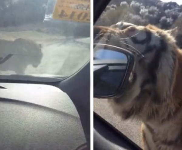 �ϻ��ӳ�ǰ����������е��󾵡�