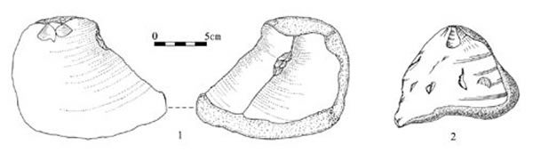 ͼ2 ¾ʯַĲʯƬ÷ͼ