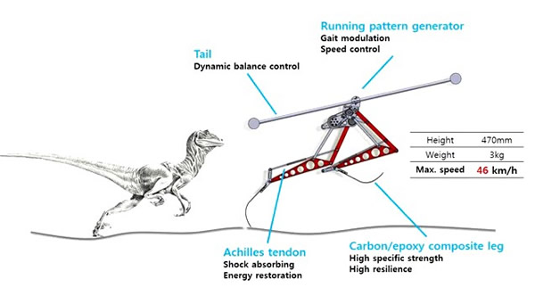 ������Ѹ����Ϊԭ��������Ƴ�һ�����ͻ�����