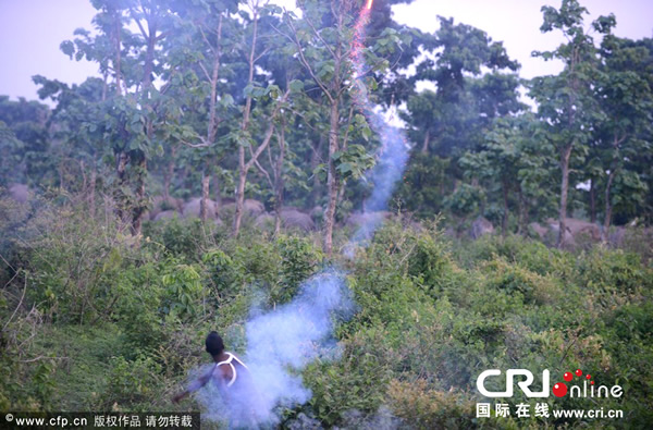 ӡ�����������︽����ɭ������ش����ӱ�������һȺҰ������