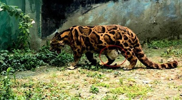 �ɶ�����԰�ĵ��Ʊ���С�ơ�̫��