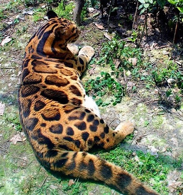 �ɶ�����԰�ĵ��Ʊ���С�ơ�̫��