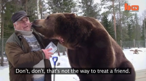 ������үү�չ�20ֻ�¶�����