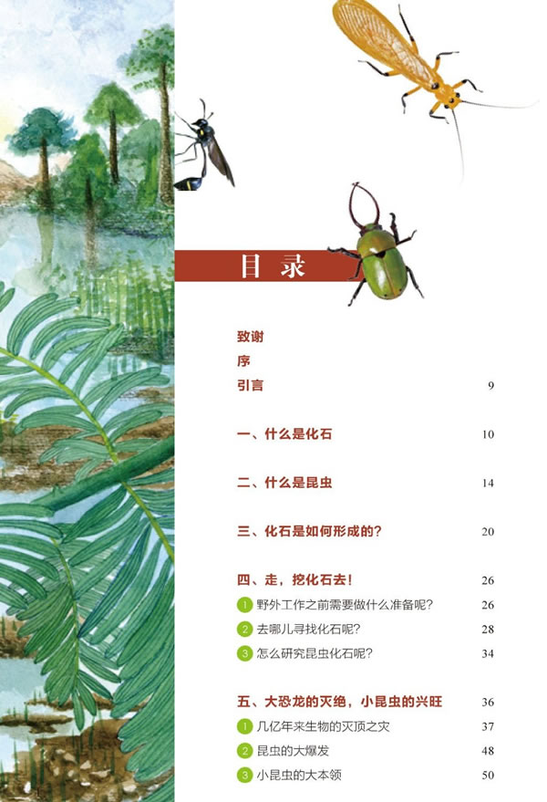 ������ʱ���ľ��顪׷Ѱ������㼣��