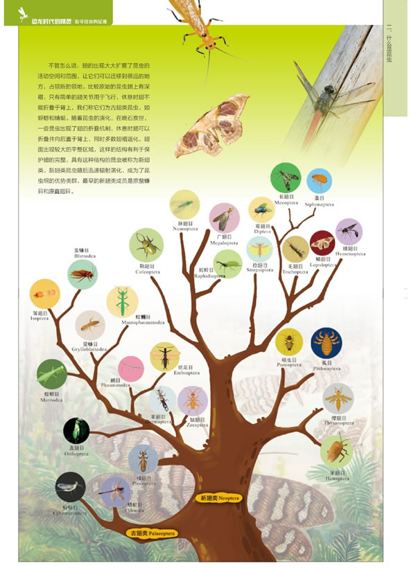 ������ʱ���ľ��顪׷Ѱ������㼣��