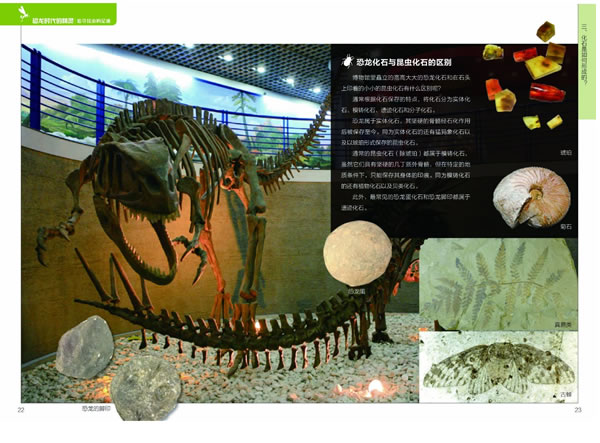 ������ʱ���ľ��顪׷Ѱ������㼣��