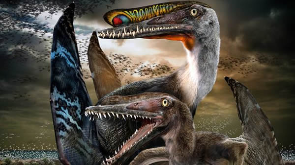 ɽHamipterus tianshanensisԭͼ