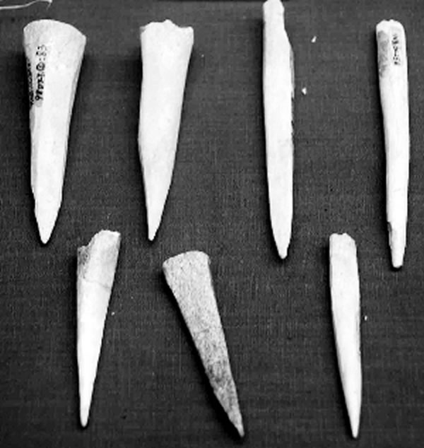 ����ʡ�����չ���Ĺ�׶