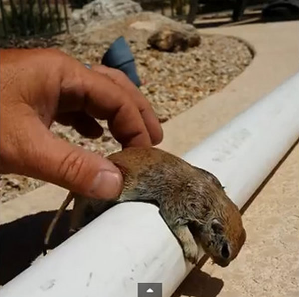 ��ˮ����������һϢ��Ӿ�ع��˲��������ȡ�