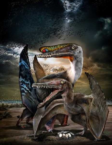 ɽHamipterus tianshanensisԭͼ