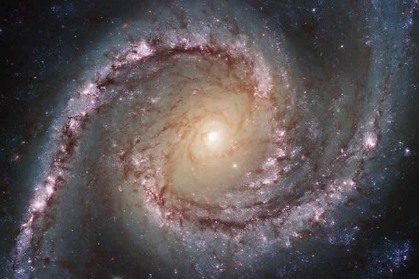 美国宇航局公布哈勃望远镜拍摄的NGC 1566星系复杂结构照片