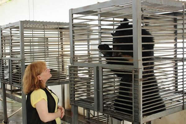 ���ƶ�ׯ԰��Ů�Ǹ��й���������̽����Ű����