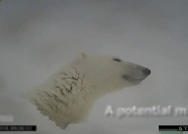 ���Զ���(ͼ)�����������ϵ���Ӱ��