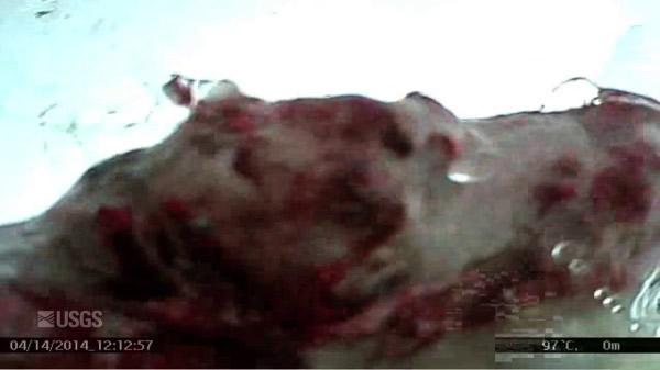 ��������ʳ����