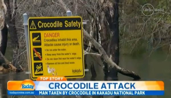 澳洲河流捕获的鳄鱼肚里发现有人体遗骸