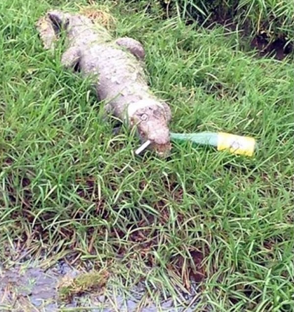 Ӣ��������򳡾���2�׳�������