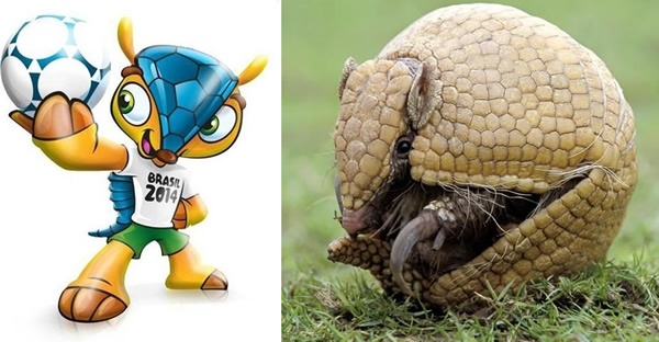 Ϣڹȥ15롣ͼΪ籭ļFuleco