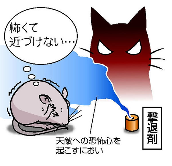 �ձ��о���Ա�Ƴ���������� �����ŵ�������һ����г��ֵľ��ָ�