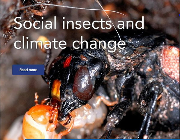 �Ჴ�������͸��������Ϊ��Ӧ�ͺ��ε��Ͽ�����ѹ��