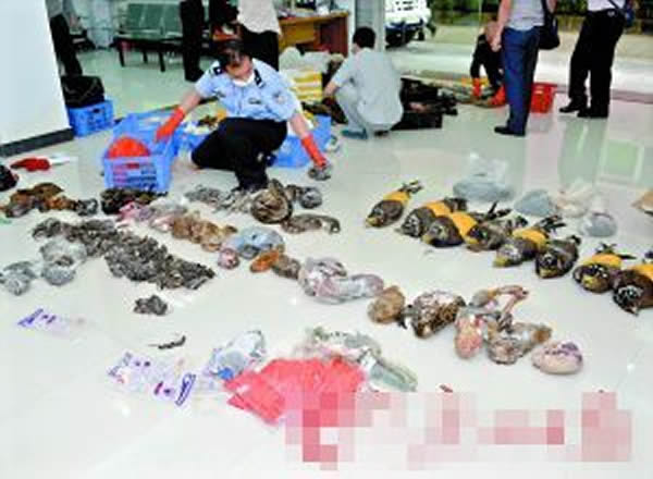 �������ɷ��񷿷��ִ�������ʬ��