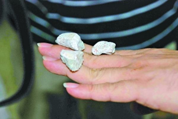 河源新发掘的鸟脚类恐龙脚趾化石