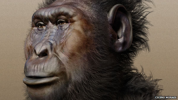 最新研究认为人类祖先脸部的进化是为了适应打斗