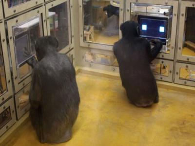 探秘中国百慕大:江西省鄱阳湖老爷庙神秘水域