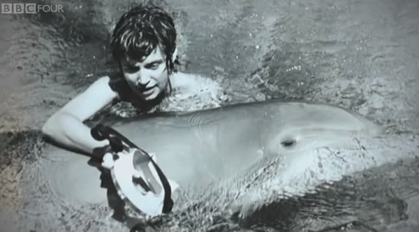 美国太空总署(NASA)1965年资助进行海豚实验 结果海豚爱上女训练员