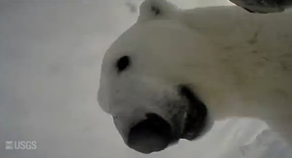 �������ʵ�����ڱ��������ߵ���Ȧ�ϰ�װ��Ӱ�����������