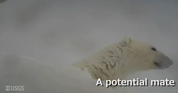 �������ʵ�����ڱ��������ߵ���Ȧ�ϰ�װ��Ӱ�����������