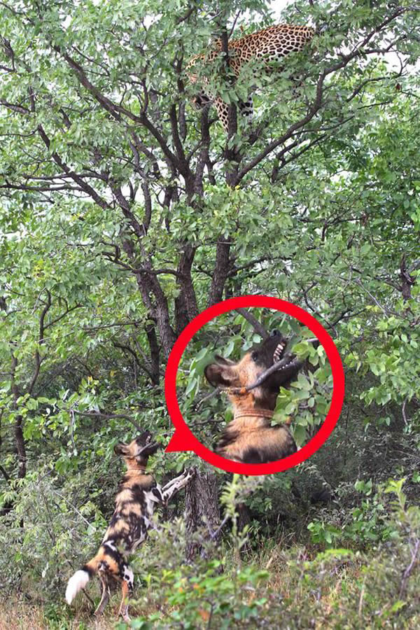 �����������๷���������