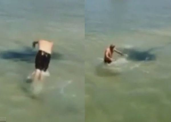 片中的“魔鬼鱼”其实只是风筝影子