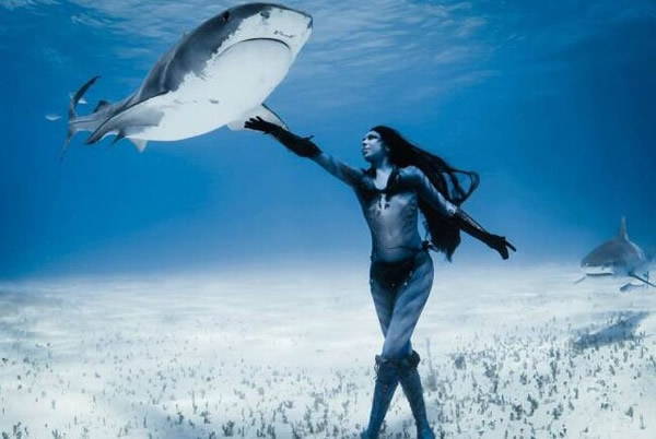 英国模特在巴哈马与世界上最危险的鲨鱼物种“虎鲨”翩翩起舞