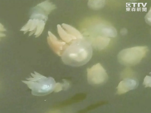 ˮĸ�����Χ�˴�ۣ�����ס60��Ҳû������