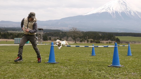 �׸�³��������Լ9�꣬������Խ���ϰ�