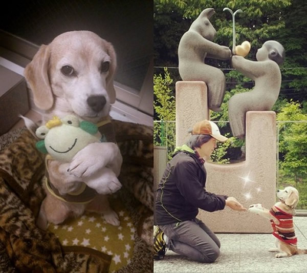 ���˾����������������棬�����ڲݵر��ݽ�����������·��Χ�ۡ����ֽкá�