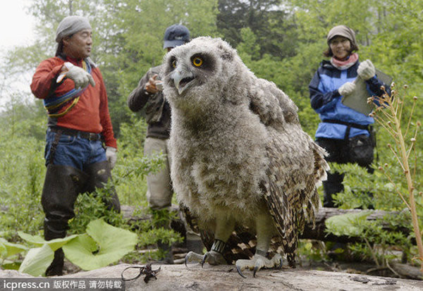 ��ë�����^�������񣬲�Ҫ��Ϊ���ܴ�ֻ����ʵ����С����ͼ������IC��