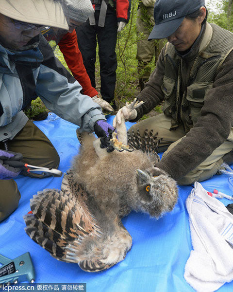 ��ë�����^����������Ͻ����Ż�����ͼ������IC��