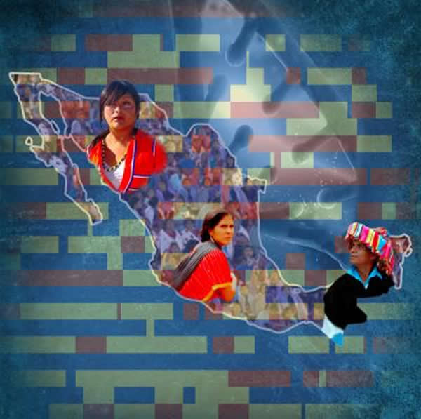 墨西哥人口的遗传多样性在整个墨西哥混合血统的染色体构成中得到了体现