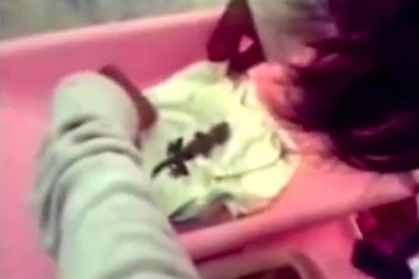 ӡ��Ů�������Լ����¡����桱