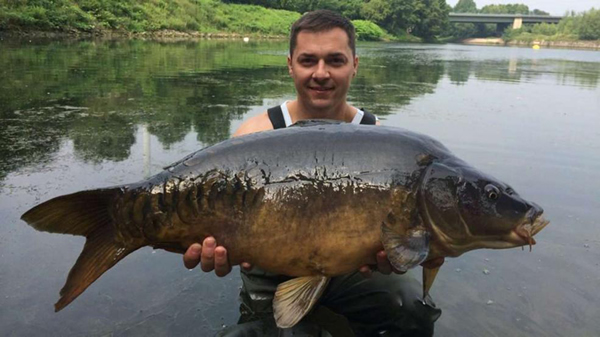 德国一名男子在莱茵河支流捕获一条巨大的鲤鱼