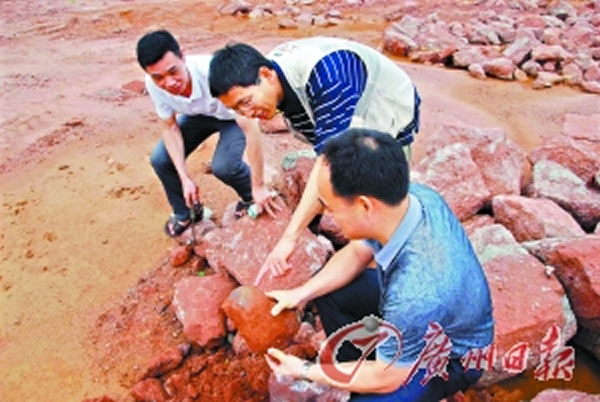 河源恐龙骨骼化石的发掘地