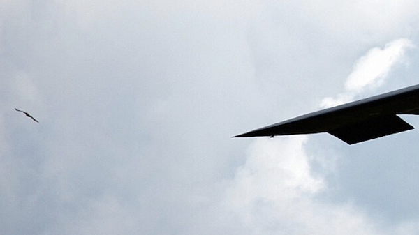 �����վ�B-2���κ�ը����Ӣ������ʱ��һֻͺӥ��ײ