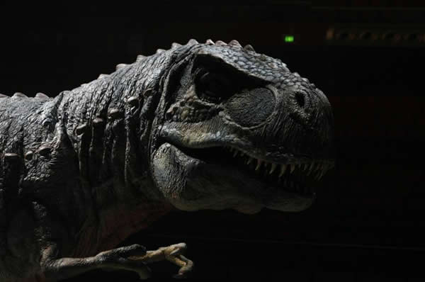 研究显示恐龙可能是“中温”动物