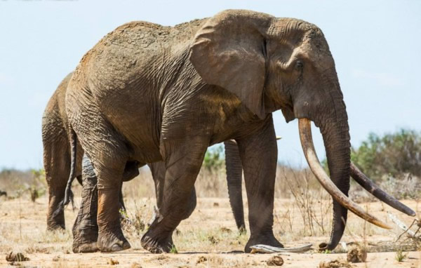 �������������������